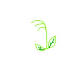André