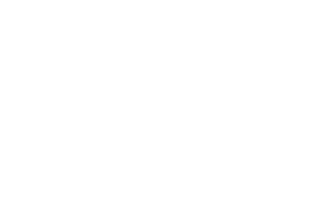 Mega-Löwe