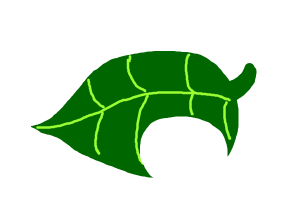 Saribo99