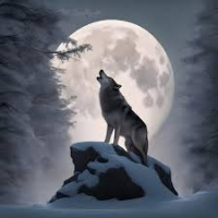 SleepingWolf