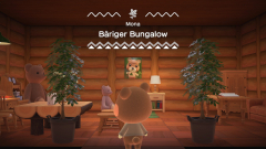 Der bärige Bungalow mit Hausbär
