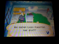Luigi's Kleidung bei Siggi... WTF?!