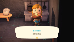 Da haben wir den Salat...