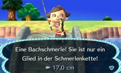 Bachschmerle
