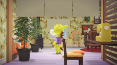 hotel und ferienhäuser 5