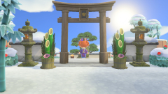 Der erste Sonnenaufgang