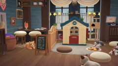 Katzencafè (Sommerspezial)