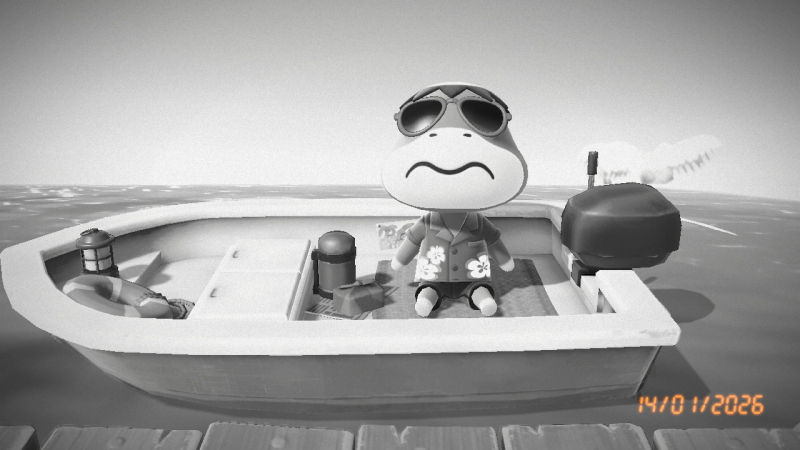 Bye Bye Mister Käpten Hawaii