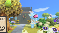 ich weiß nicht, was du tust, bro