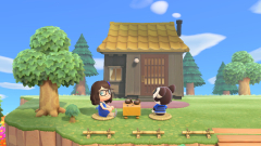 Sunny spielt nicht mit