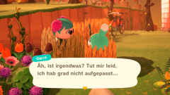 warum liegt hier stroh rum?