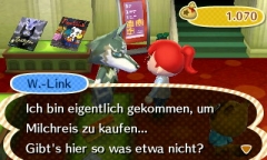 Armer W.-Link!