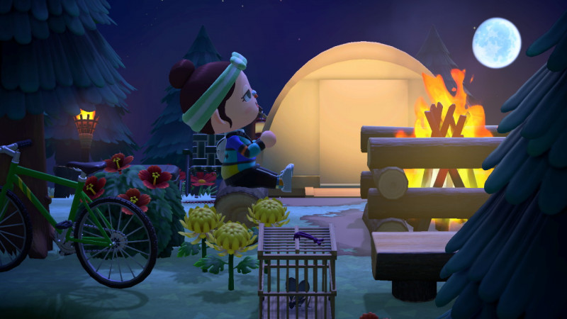 Campingplatz / Emerald