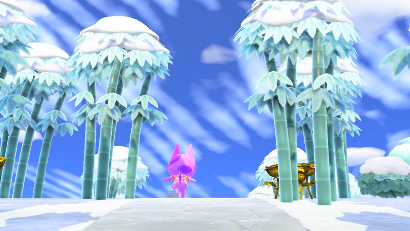 Zoomies durch Mapachoon...