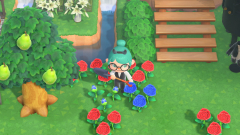 Blaue Rosen, endlich <3