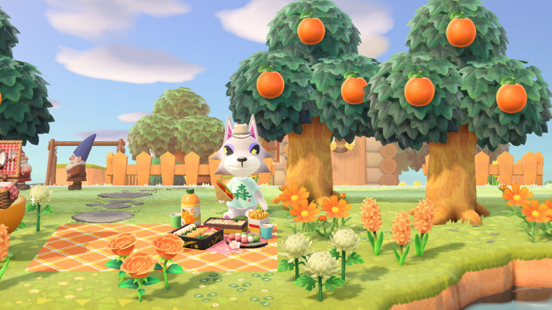Picknick mit frischem Orangensaft