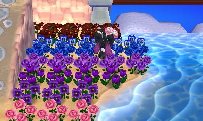 Ideen Fur Den Strand Animal Crossing Forum